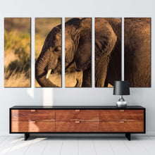 Load image into Gallery viewer, elephant smile canvas wall art elephant green landscape scenery elephant canvas print brown elephant profile 5 piece multiple canvas
