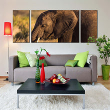 Load image into Gallery viewer, elephant  smiling  canvas  print  brown  elephant  3  piece  canvas  wall  art  elephant  in  green  scenery  multi  canvas  artwork In Living Room
