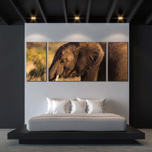 Load image into Gallery viewer, elephant  smiling  canvas  print  brown  elephant  3  piece  canvas  wall  art  elephant  in  green  scenery  multi  canvas  artwork For Bedroom
