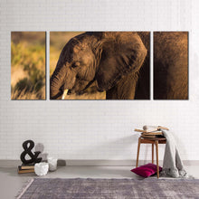 Load image into Gallery viewer, elephant  smiling  canvas  print  brown  elephant  3  piece  canvas  wall  art  elephant  in  green  scenery  multi  canvas  artwork
