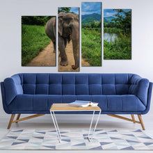 Load image into Gallery viewer, elephant smiling canvas print isolated elephant green scenery 4 piece canvas wall art grey elephant front canvas set in living room
