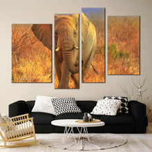 Load image into Gallery viewer, elephant walking canvas wall art elephant in orange nature 4 piece multiple canvas grey elephant front canvas print in living room
