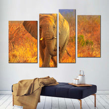 Load image into Gallery viewer, elephant walking canvas wall art elephant in orange nature 4 piece multiple canvas grey elephant front canvas print for living room
