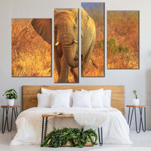 Load image into Gallery viewer, elephant walking canvas wall art elephant in orange nature 4 piece multiple canvas grey elephant front canvas print
