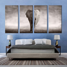 Load image into Gallery viewer, elephant walking canvas wall art isolated elephant black and white canvas print grey elephant animal 4 piece canvas set For Your Bedroom
