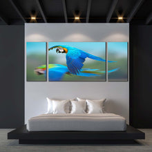 Load image into Gallery viewer, exotic  parrot  canvas  wall  art  colorful  macaw  flying  3  piece  canvas  bird  flying  multi  canvas  artwork In Bedroom
