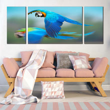 Load image into Gallery viewer, exotic  parrot  canvas  wall  art  colorful  macaw  flying  3  piece  canvas  bird  flying  multi  canvas  artwork In Living Room
