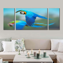 Load image into Gallery viewer, exotic  parrot  canvas  wall  art  colorful  macaw  flying  3  piece  canvas  bird  flying  multi  canvas  artwork For Living Room
