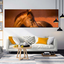 Load image into Gallery viewer, gelding  horse  canvas  wall  art  brown  horse  in  nature  canvas  artwork  chestnut  horse  in  orange  field  1  piece  canvas  print In Living Room
