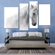 Load image into Gallery viewer, gelding horse canvas wall art isolated white grey horse 4 piece canvas set gelding horse canvas print in bedroom
