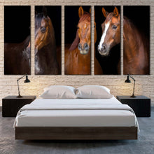 Load image into Gallery viewer, group horses canvas wall art brown horses portrait 5 piece canvas print isolated horses black background multi canvas three horses canvas set In Bedroom
