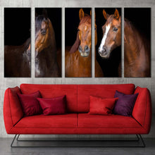 Load image into Gallery viewer, group horses canvas wall art brown horses portrait 5 piece canvas print isolated horses black background multi canvas three horses canvas set In Living room
