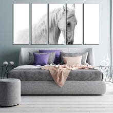 Load image into Gallery viewer, horse closeup canvas wall art grey gelding horse 5 piece canvas print white horse portrait multiple canvas For Bedroom
