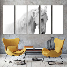 Load image into Gallery viewer, horse closeup canvas wall art grey gelding horse 5 piece canvas print white horse portrait multiple canvas For Living Room
