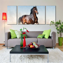 Load image into Gallery viewer, horse  dust  canvas  print  horse  white  desert  canvas  set  brown  stallion  horse  portrait  3  piece  canvas  wall  art In Living Room
