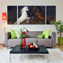 Load image into Gallery viewer, horse  fight  canvas  wall  art  white  brown  horses  3  piece  canvas  set  two  horses  at  desert  triptych  canvas  print For Living Room
