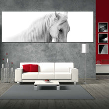 Load image into Gallery viewer, horse  portrait  canvas  wall  art  elegant  horse  close  up  1  piece  canvas  print  isolated  white  grey  horse  canvas  artwork In Living Room
