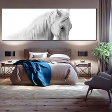 Load image into Gallery viewer, horse  portrait  canvas  wall  art  elegant  horse  close  up  1  piece  canvas  print  isolated  white  grey  horse  canvas  artwork For Bedroom
