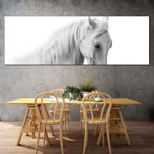 Load image into Gallery viewer, horse  portrait  canvas  wall  art  elegant  horse  close  up  1  piece  canvas  print  isolated  white  grey  horse  canvas  artwork In Dinning Room
