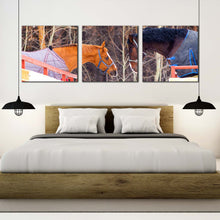 Load image into Gallery viewer, horses  couple  canvas  wall  art  horses  in  fence  3  piece  canvas  set  brown  and  white  horses  canvas  print For Bedroom
