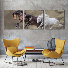 Load image into Gallery viewer, horses  galloping  canvas  wall  art  three  horses  dust  multiple  canvas  brown  white  black  horses  3  piece  canvas  print In Living Room
