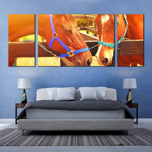 Load image into Gallery viewer, horses  heads  canvas  wall  art  horses  in  orange  sun  3  piece  multi  canvas  brown  horses  in  love  canvas  print For Bedroom
