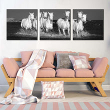 Load image into Gallery viewer, horses  herd  canvas  wall  art  white  horses  dark  background  3  piece  canvas  set  black  and  white  horses  beach  canvas  print For Living Room
