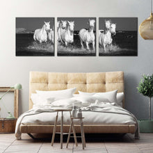 Load image into Gallery viewer, horses  herd  canvas  wall  art  white  horses  dark  background  3  piece  canvas  set  black  and  white  horses  beach  canvas  print For Bedroom
