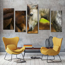 Load image into Gallery viewer, horses kissing canvas wall art horse couple 5 piece canvas print brown white romantic horses multiple canvas In Living Room
