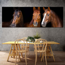 Load image into Gallery viewer, horses  portrait  canvas  wall  art  horses  black  background  wide  canvas  three  brown  horses  1  piece  canvas  print In Dinning Room
