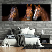 Load image into Gallery viewer, horses  portrait  canvas  wall  art  horses  black  background  wide  canvas  three  brown  horses  1  piece  canvas  print For Bedroom
