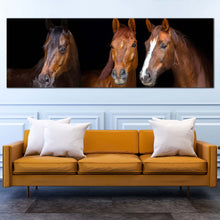 Load image into Gallery viewer, horses  portrait  canvas  wall  art  horses  black  background  wide  canvas  three  brown  horses  1  piece  canvas  print In Living Room
