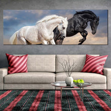 Load image into Gallery viewer, horses  run  canvas  wall  art  black  and  white  horses  1  piece  canvas  print  two  horses  in  nature  wide  canvas For Living Room
