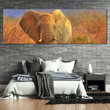 Load image into Gallery viewer, isolated  elephant  canvas  print  orange  elephant  scenery  panoramic  canvas  wall  art  grey  elephant  walking  canvas  artwork For Bedroom
