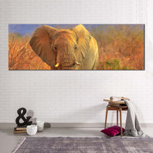 Load image into Gallery viewer, isolated  elephant  canvas  print  orange  elephant  scenery  panoramic  canvas  wall  art  grey  elephant  walking  canvas  artwork For Bedroom
