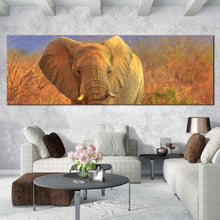 Load image into Gallery viewer, isolated  elephant  canvas  print  orange  elephant  scenery  panoramic  canvas  wall  art  grey  elephant  walking  canvas  artwork In Living Room
