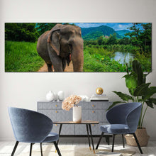 Load image into Gallery viewer, isolated  elephant  canvas  wall  art  elephant  in  green  nature  wide  canvas  grey  elephant  walking  1  piece  canvas  print For Living Room
