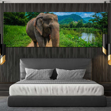 Load image into Gallery viewer, isolated  elephant  canvas  wall  art  elephant  in  green  nature  wide  canvas  grey  elephant  walking  1  piece  canvas  print For Bedroom
