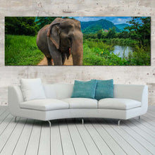 Load image into Gallery viewer, isolated  elephant  canvas  wall  art  elephant  in  green  nature  wide  canvas  grey  elephant  walking  1  piece  canvas  print In Living Room
