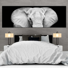 Load image into Gallery viewer, isolated  elephant  canvas  wall  art  grey  elephant  close  up  1  piece  canvas  print  elephant  black  and  white  canvas  artwork For Bedroom
