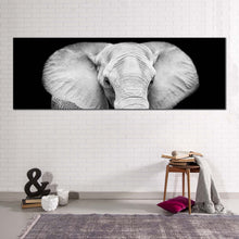 Load image into Gallery viewer, isolated  elephant  canvas  wall  art  grey  elephant  close  up  1  piece  canvas  print  elephant  black  and  white  canvas  artwork In Living Room
