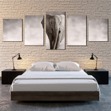 Load image into Gallery viewer, isolated elephant canvas wall art grey elephant front multiple canvas black and white elephant portrait 5 piece canvas print For Your Bedroom
