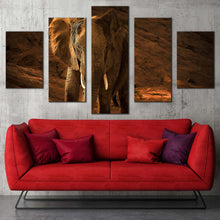 Load image into Gallery viewer, isolated elephant canvas wall art orange elephant animal 5 piece canvas print brown elephant desert multi canvas artwork In Living Room
