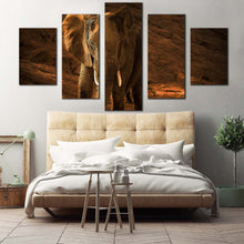 Load image into Gallery viewer, isolated elephant canvas wall art orange elephant animal 5 piece canvas print brown elephant desert multi canvas artwork For Bedroom
