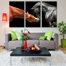 Load image into Gallery viewer, isolated horses canvas print horses heads 3 piece canvas wall art black brown horses portrait multi canvas artwork For Living Room
