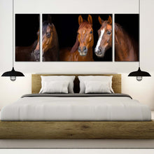 Load image into Gallery viewer, isolated  horses  canvas  wall  art  isolated  brown  horses  3  piece  multiple  canvas  horses  black  background  triptych  canvas  print For Bedroom
