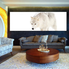 Load image into Gallery viewer, isolated  wolf  canvas  print  white  wolf  close  up  1  piece  canvas  wall  art  wolf  snow  wide  canvas In Living Room
