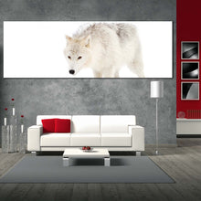 Load image into Gallery viewer, isolated  wolf  canvas  print  white  wolf  close  up  1  piece  canvas  wall  art  wolf  snow  wide  canvas For Living Room
