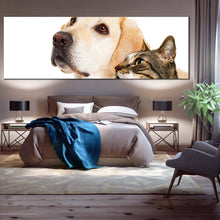 Load image into Gallery viewer, labrador  dog  canvas  wall  art  white  background  dog  and  cat  1  piece  canvas  print  brown  cat  isolated  wide  canvas For Bedroom
