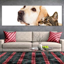 Load image into Gallery viewer, labrador  dog  canvas  wall  art  white  background  dog  and  cat  1  piece  canvas  print  brown  cat  isolated  wide  canvas For Living Room
